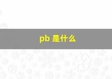 pb 是什么